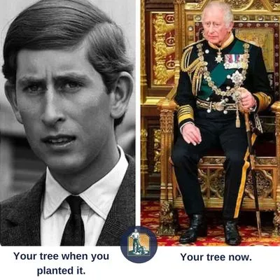 Mikes Lawn Care And Home Tasks Logo