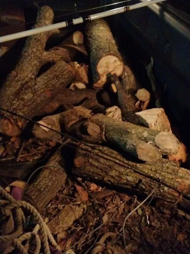 Professional yard cleanup service in Wichita, KS - Mike's Lawn Care and Odd Jobs