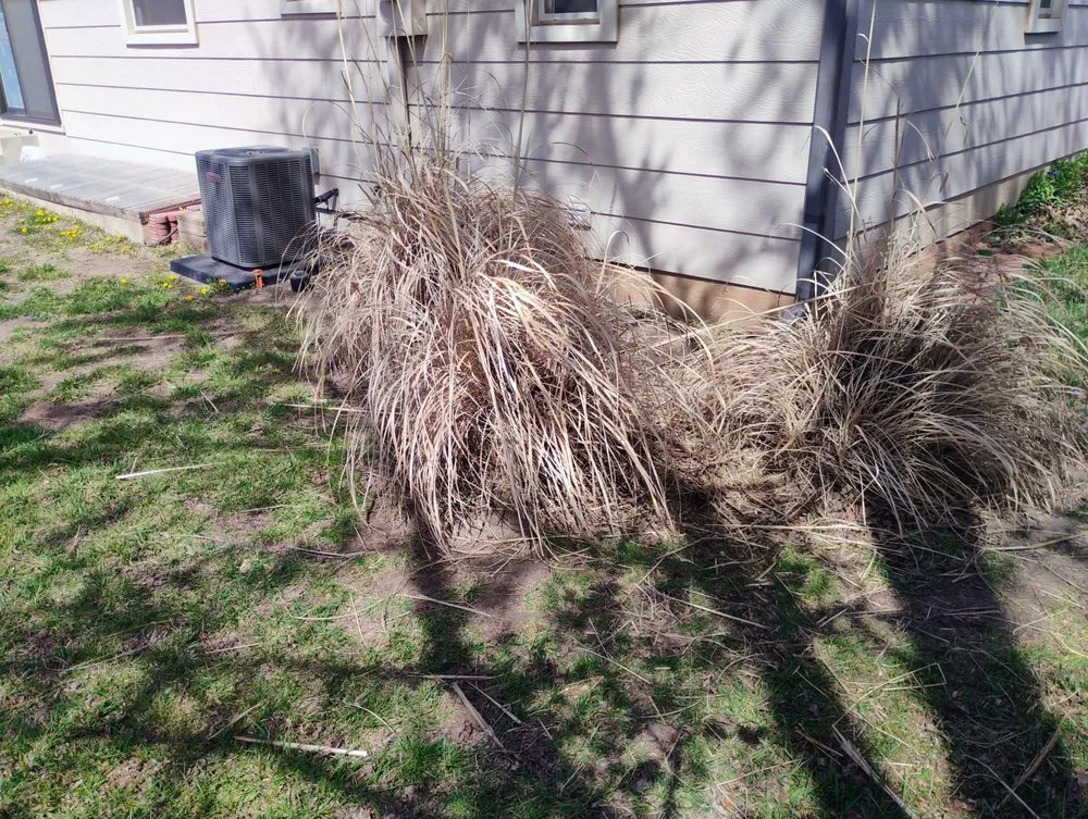 Top-rated yard cleanup service in Wichita, KS - Mike's Lawn Care and Odd Jobs