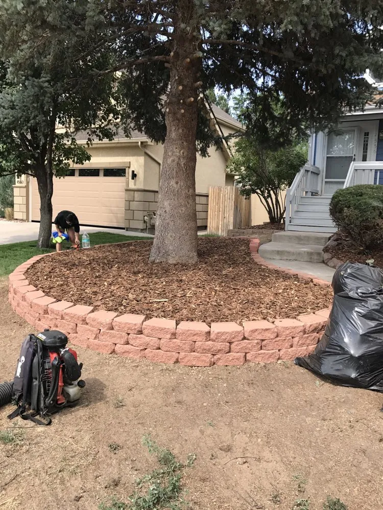 Professional landscape installation for outdoor upgrades in Aurora, CO by Mike's Lawn Care