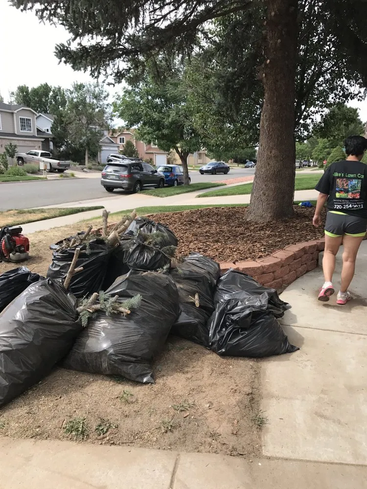 Reliable landscape installation in Aurora, CO - Mike's Lawn Care