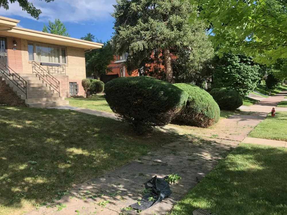 Trusted landscape installation in Aurora, CO - Mike's Lawn Care