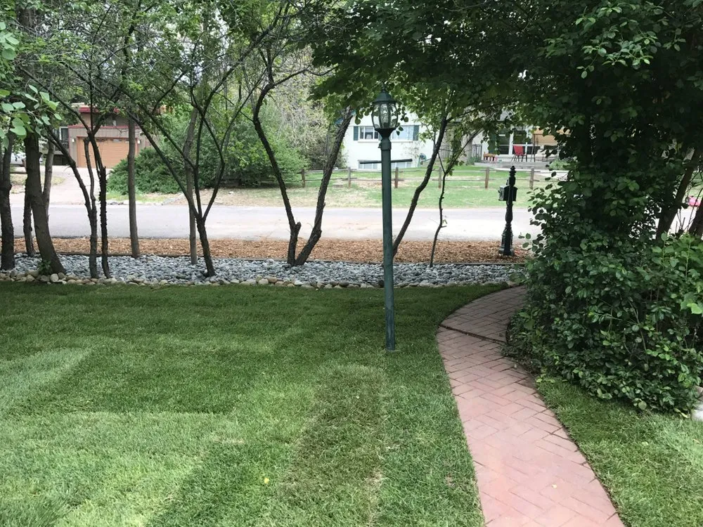 Professional yard cleanup service experts serving Aurora, CO - Mike's Lawn Care