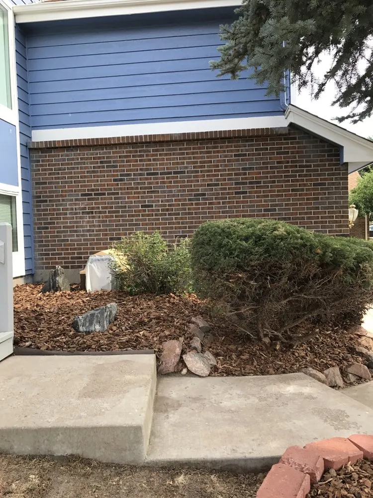 Expert yard cleanup service in Aurora, CO - Mike's Lawn Care