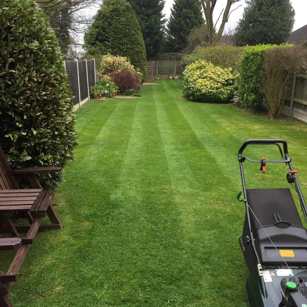 Reliable yard maintenance near you across Elkhart, IN - Mike’s Lawn Care