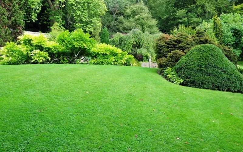 Top-rated yard maintenance for beautiful yards across Elkhart, IN - Mike’s Lawn Care