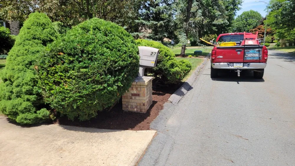 Custom lawn mowing service experts serving Exeter, PA - Mike's Lawn Care