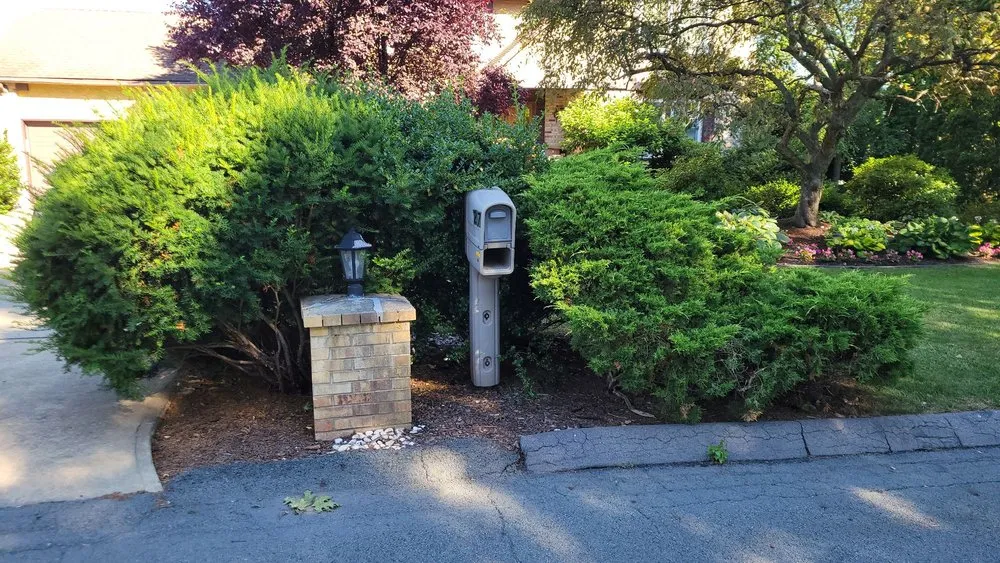 Professional lawn mowing service experts serving Exeter, PA - Mike's Lawn Care