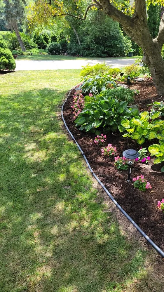 Trusted yard cleanup service for year-round maintenance across Exeter, PA - Mike's Lawn Care