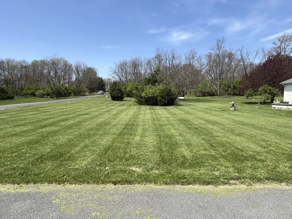 Affordable lawn mowing service experts serving Falling Waters, WV - Mikes Lawn Care