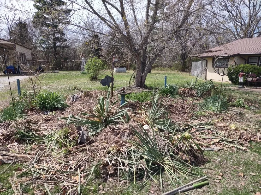 Trusted residential landscaping for beautiful yards across Hobbs, NM - Mike's Lawn Care