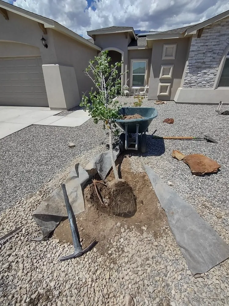 Expert landscaping services for outdoor upgrades in Hobbs, NM by Mike's Lawn Care