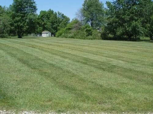 Reliable landscaping services in Michigan City, IN by Mike's Lawn Care