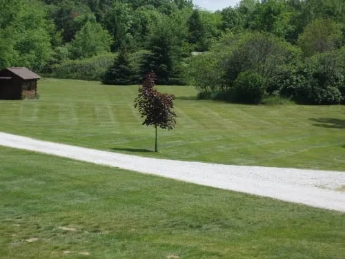 Top-rated yard maintenance experts serving Portage, IN - Mike's Lawn Care