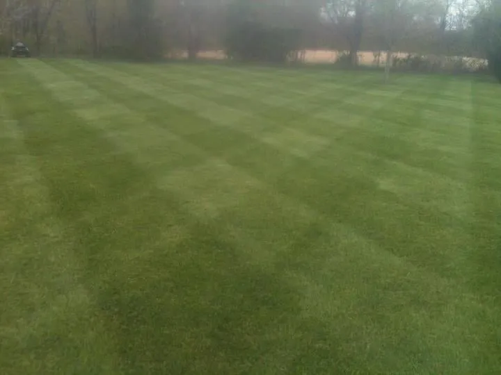 Trusted outdoor landscaping in Portage, IN - Mike's Lawn Care