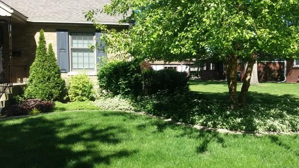 Mike's Lawn Maintenance Logo