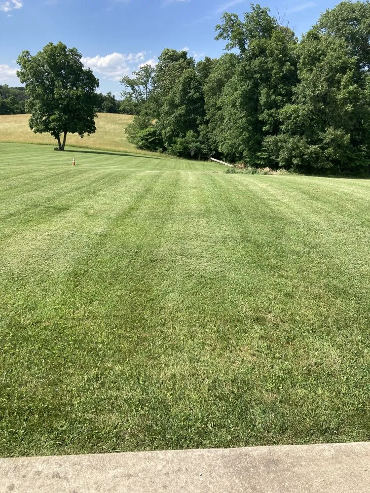 Reliable landscape installation in Ripley, WV - Mike’s lawn maintenance