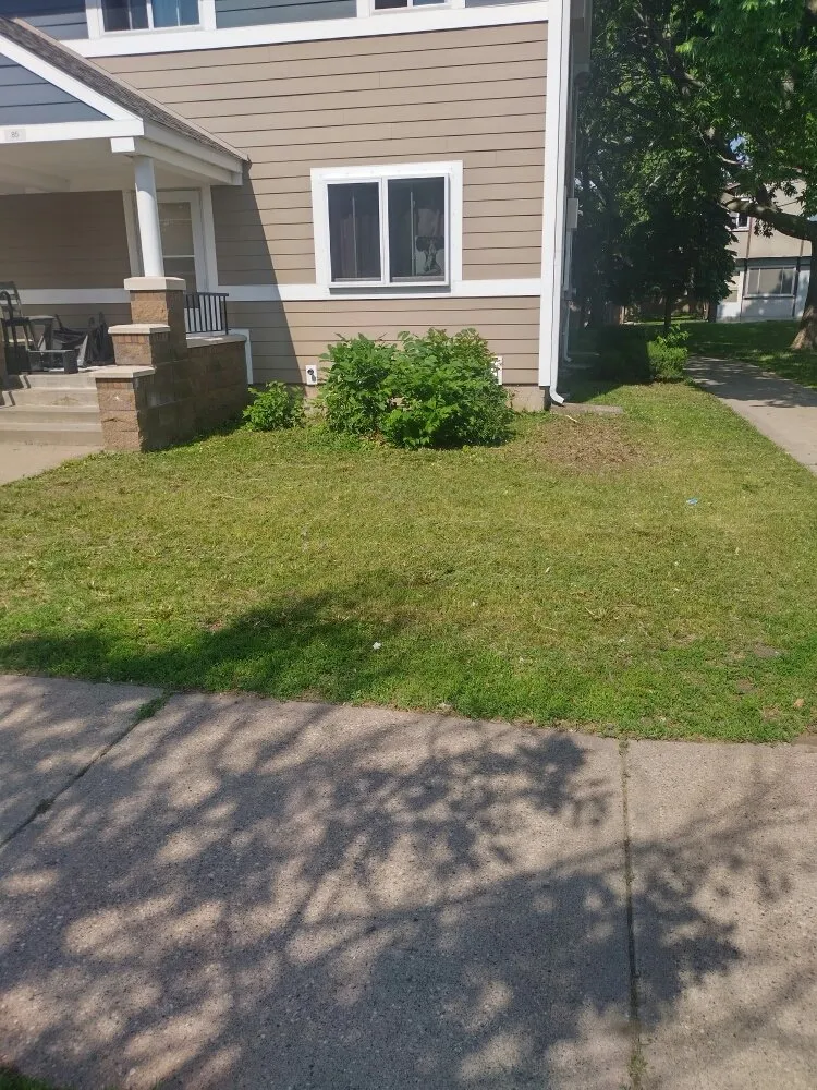 Local landscape design experts serving Minneapolis, MN - Mike's Lawn Service & Snow Shoveling