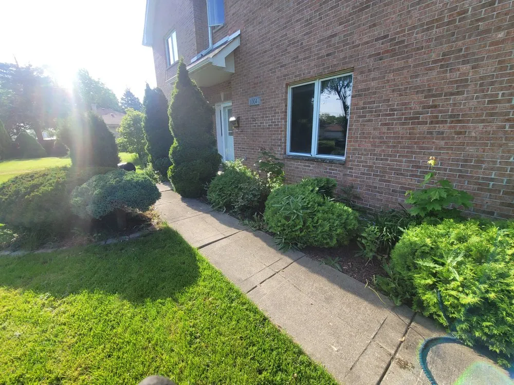 Expert landscaping services in Bensenville, IL by Mike's Lawn Service