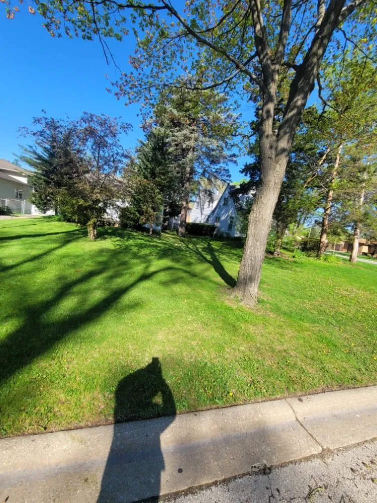 Trusted lawn mowing service in Bensenville, IL by Mike's Lawn Service