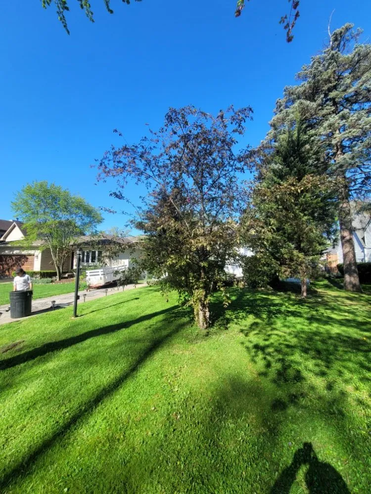 Expert landscape design near you across Bensenville, IL - Mike's Lawn Service