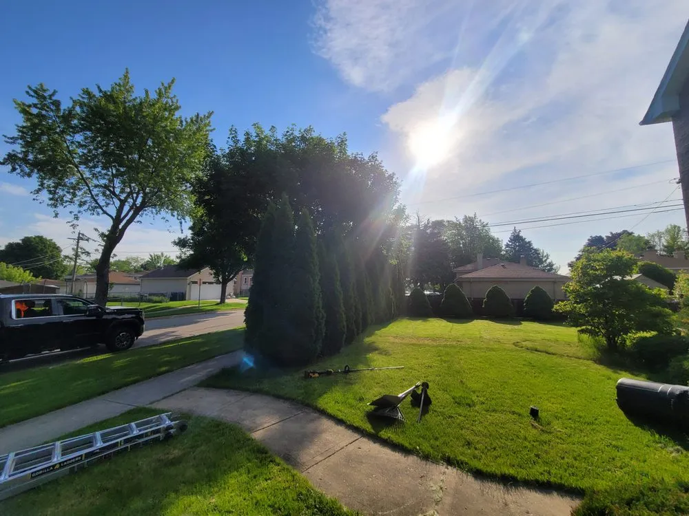 Affordable residential landscaping for outdoor upgrades across Bensenville, IL - Mike's Lawn Service