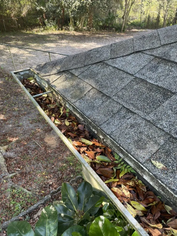 Custom outdoor landscaping with custom design in Deltona, FL by Mikes Lawn Service