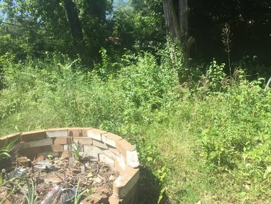 Mikes Lawn Service Logo