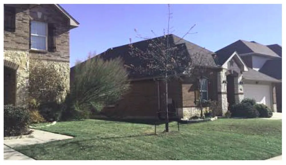 Top-rated yard maintenance near you across Port Charlotte, FL - Mike’s Lawn Service