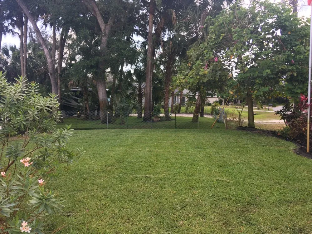 Local lawn care service experts serving Port Charlotte, FL - Mike’s Lawn Service