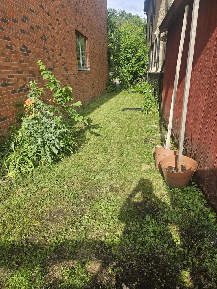 Local landscape design in Richfield, MN - Mikes Lawn Service