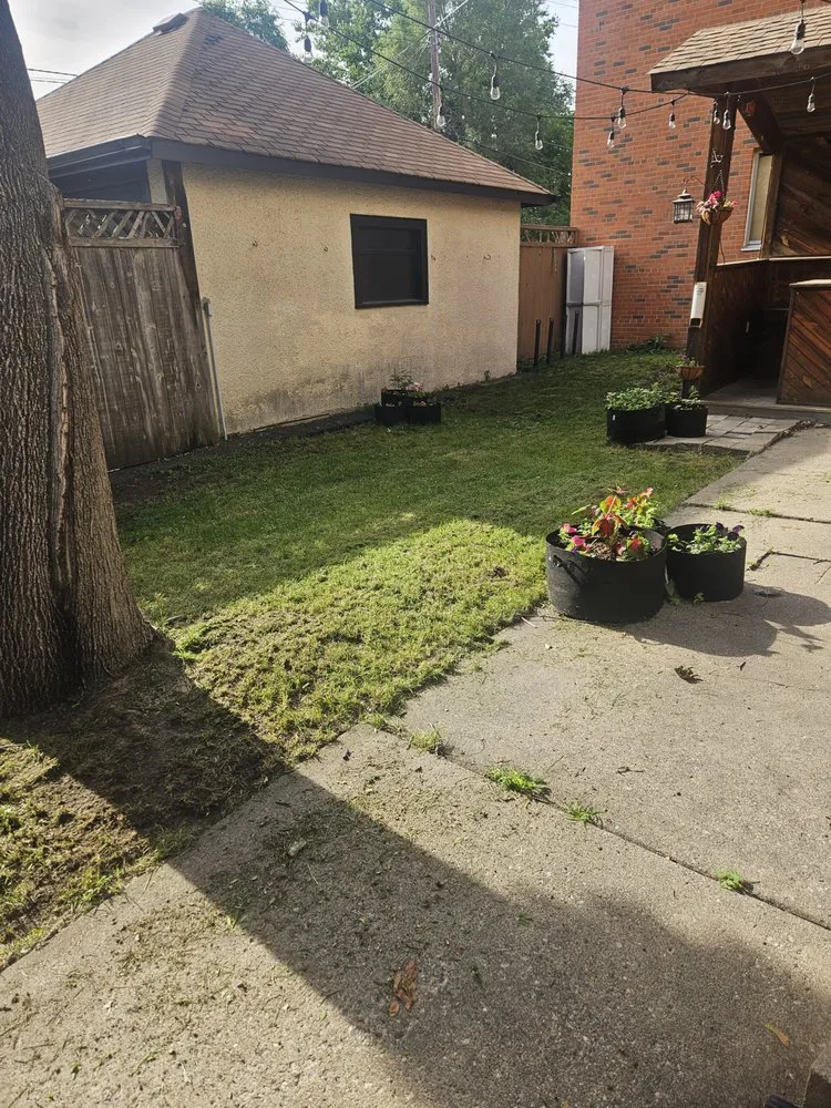 Trusted lawn mowing service with custom design in Richfield, MN by Mikes Lawn Service