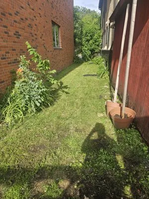 Mikes Lawn Service Logo