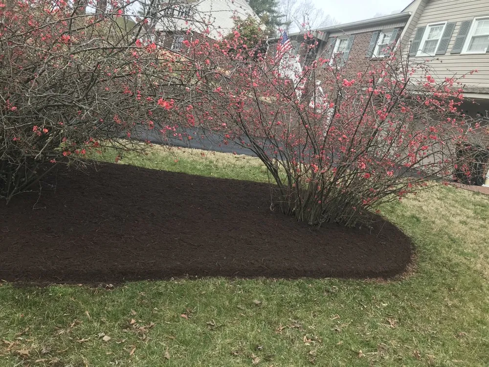 Top-rated lawn care service experts serving Danville, VA - Mike's lawncare