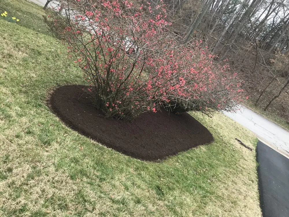 Local yard maintenance in Danville, VA - Mike's lawncare