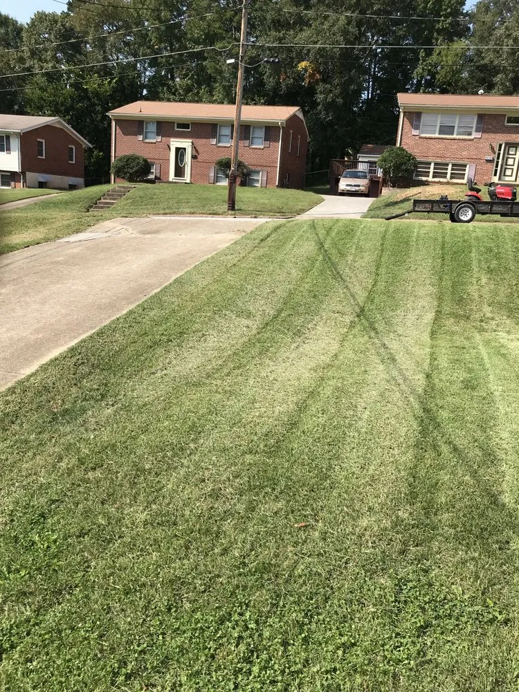 Expert yard cleanup service experts serving Danville, VA - Mike's lawncare
