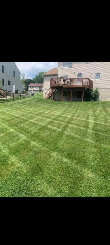 Top-rated yard cleanup service experts serving Bath, PA - Mike's lawnmowing services and yard clean up