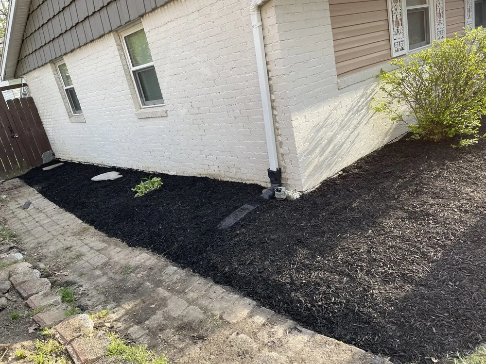 Top-rated yard cleanup service experts serving Lima, OH - Mike’s Maintenance