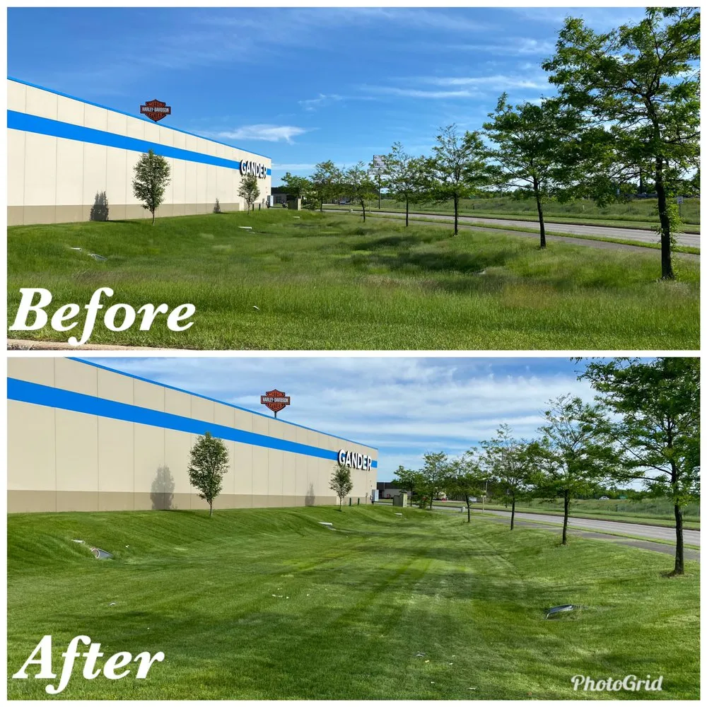 Local yard maintenance in Mosinee, WI by Mikes Mow N Snow