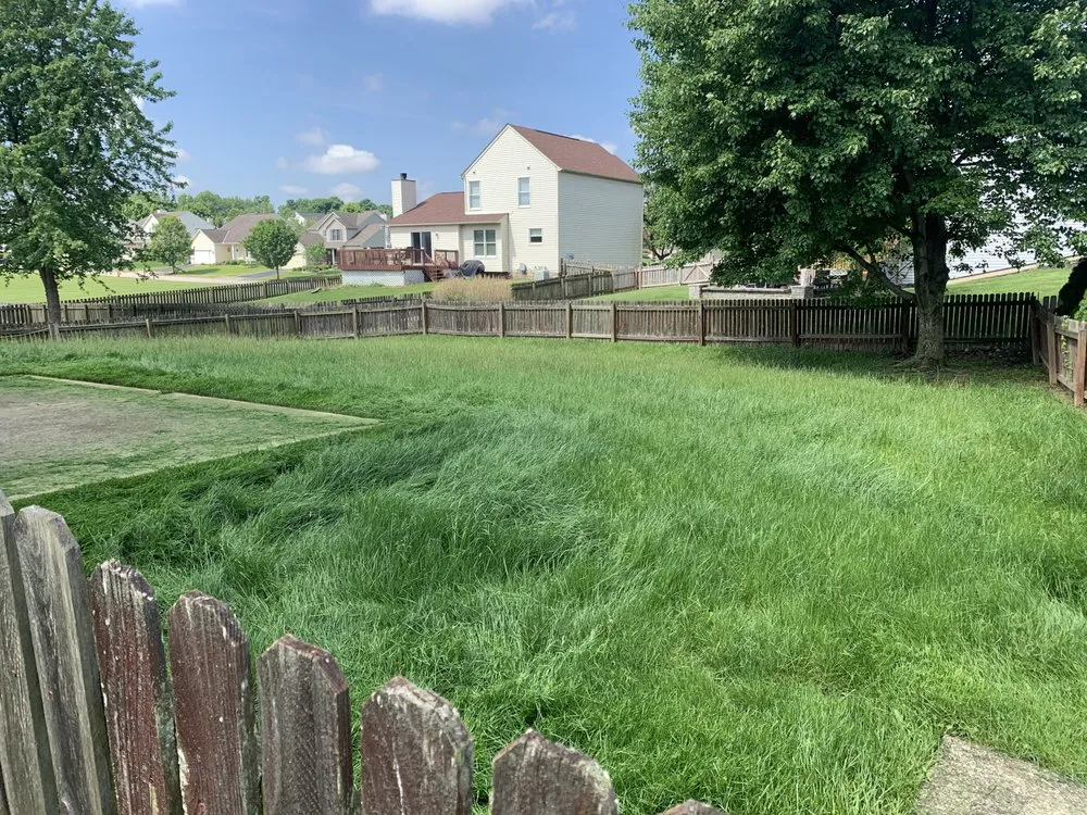 Affordable lawn care service in Baltimore, OH - Mike’s Mowin