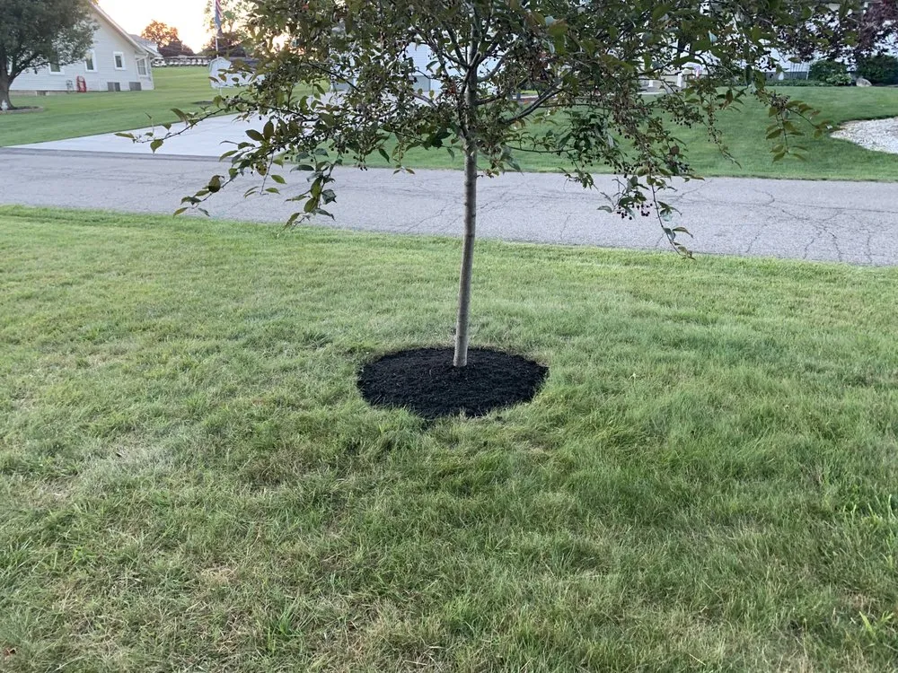 Expert landscaping services experts serving Baltimore, OH - Mike’s Mowin