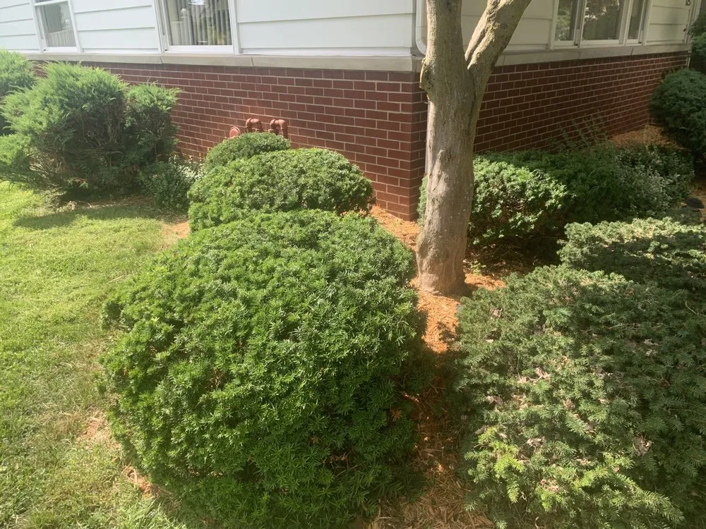 Trusted residential landscaping experts serving Baltimore, OH - Mike’s Mowin