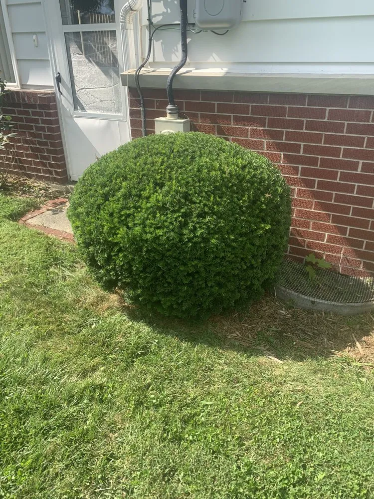 Local landscaping services in Baltimore, OH - Mike’s Mowin