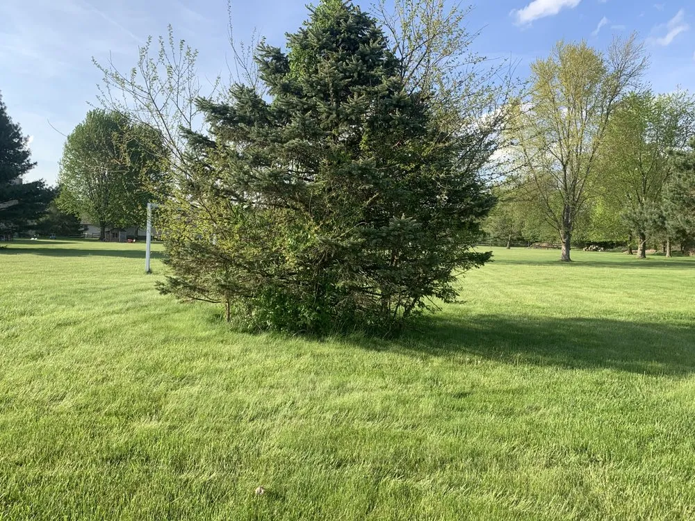 Expert outdoor landscaping in Baltimore, OH - Mike’s Mowin