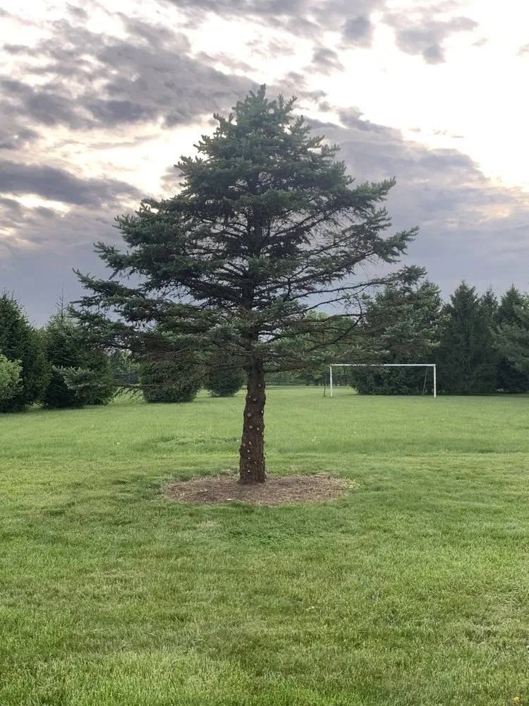 Reliable outdoor landscaping in Baltimore, OH by Mike’s Mowin