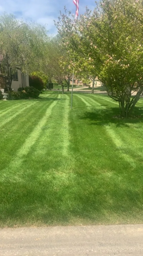 Professional landscape installation experts serving Baltimore, OH - Mike’s Mowin