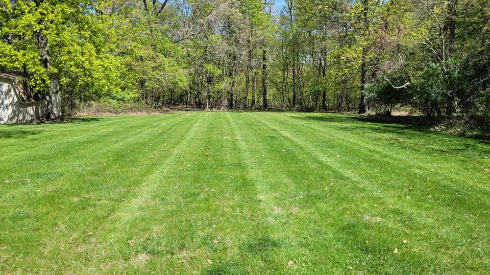Trusted yard cleanup service in Washington, IL by Mike's Mowing & More