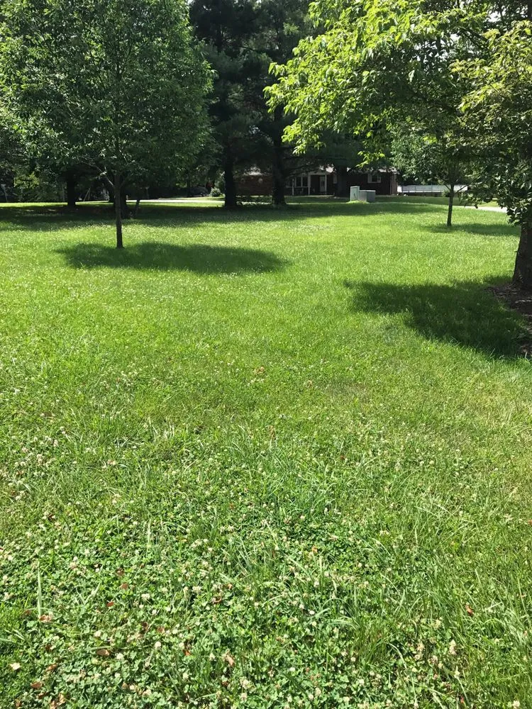 Reliable lawn care service experts serving Cape Girardeau, MO - Mike's Mowing and More