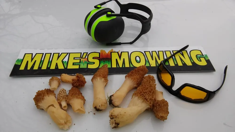 Professional lawn care service in Cape Girardeau, MO by Mike's Mowing and More