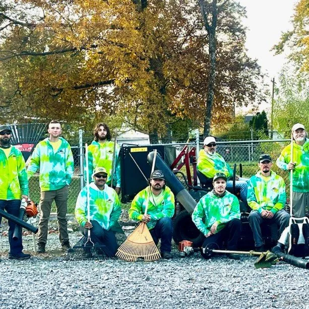 Expert yard maintenance for outdoor upgrades in Cape Girardeau, MO by Mike's Mowing and More